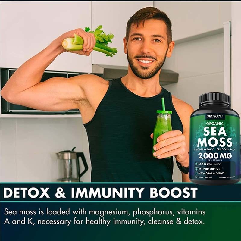 Unflavored οργανικά θάλασσας βρύου καψών Wildcrafted μη ΓΤΟ θάλασσας βρύου ακατέργαστα 60 χάπια Seamoss γλουτένης ελεύθερα