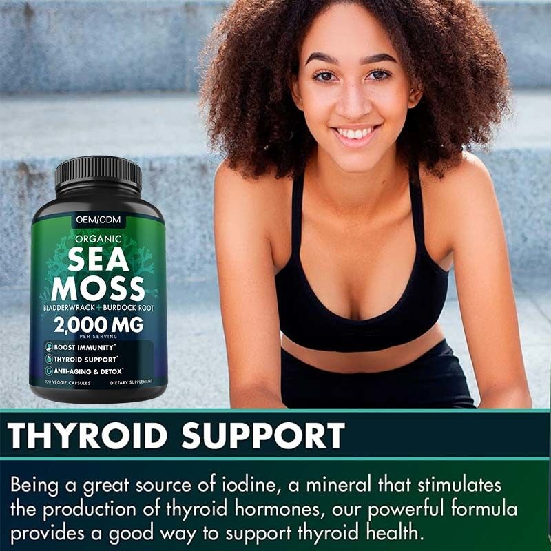 Unflavored οργανικά θάλασσας βρύου καψών Wildcrafted μη ΓΤΟ θάλασσας βρύου ακατέργαστα 60 χάπια Seamoss γλουτένης ελεύθερα