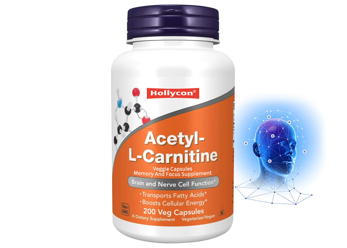OEM L-Carnitine κάψουλες Υποστήριξη για τη λειτουργία του εγκεφάλου και των νευρικών κυττάρων Veggie κάψουλες Υποστήριξη για τη μνήμη και την εστίαση