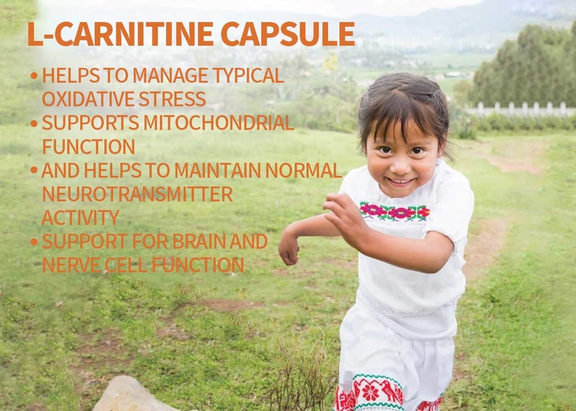 OEM L-Carnitine κάψουλες Υποστήριξη για τη λειτουργία του εγκεφάλου και των νευρικών κυττάρων Veggie κάψουλες Υποστήριξη για τη μνήμη και την εστίαση