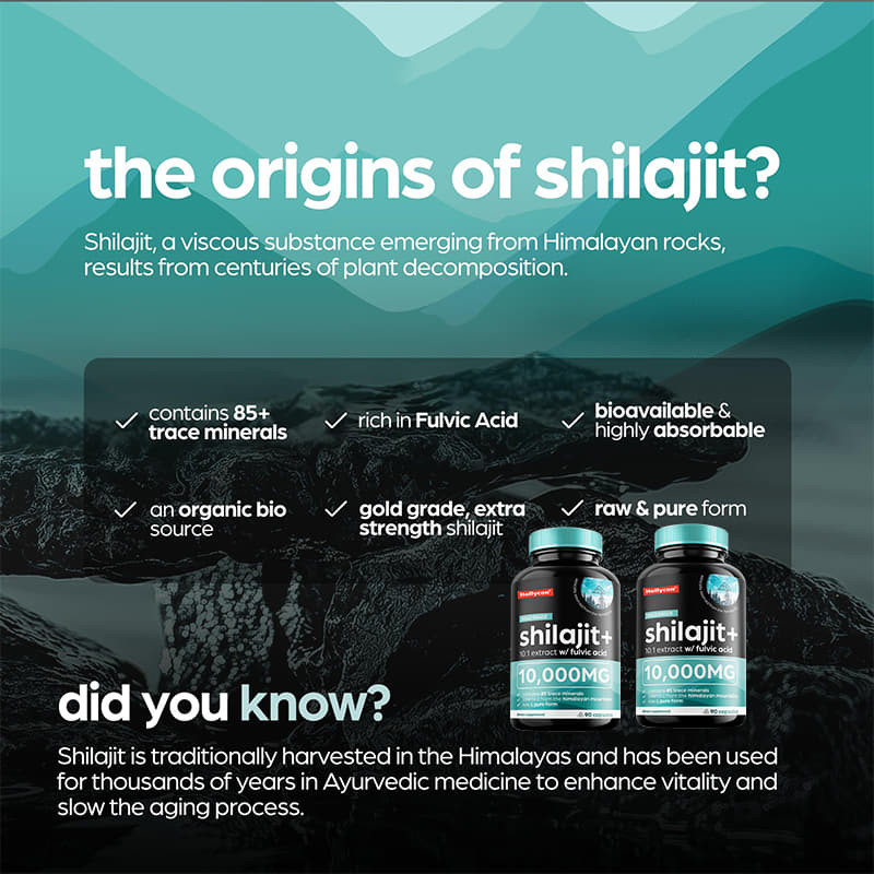 OEM Pure Himalayan Shilajit 10000mg Οργανικές κάψουλες Shilajit για υποστήριξη του ανοσοποιητικού συστήματος