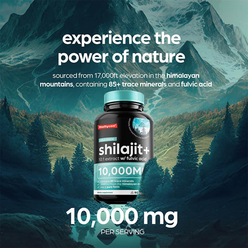 OEM Pure Himalayan Shilajit 10000mg Οργανικές κάψουλες Shilajit για υποστήριξη του ανοσοποιητικού συστήματος