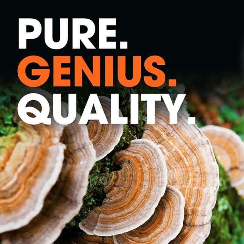 OEM Προώθηση Συνολικής Ευεξίας Υποστήριξη Φυσικοί αμυντικοί μηχανισμοί του σώματος Καταπολέμηση οξειδωτικών ζητημάτων Καψούλες ουράς γαλοπούλας