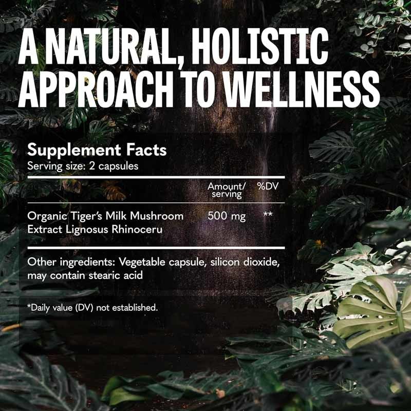 Συμπλήρωμα Μανιταριών Ανάπτυξη Μαλλιών Υγεία Εντέρου Πεπτικό Εγκέφαλος Πνεύμονες Γνωστική Λειτουργία Αναπνευστικό Μανιτάρια Tiger Milk Capsules