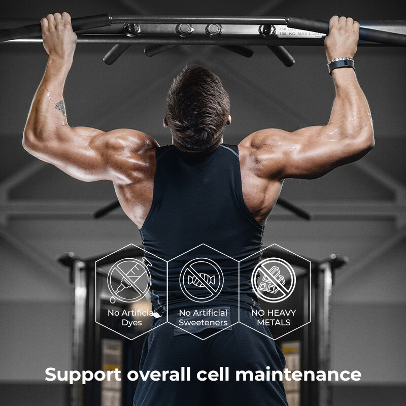 Ιδιωτική Ετικέτα Shilajit Γυναικεία Γουμάκια Φουλβικό οξύ Χωρίς Ζάχαρη Συμπλήρωμα Διατηρεί φυσιολογικά επίπεδα ενέργειας και ανοσοποιητική λειτουργία