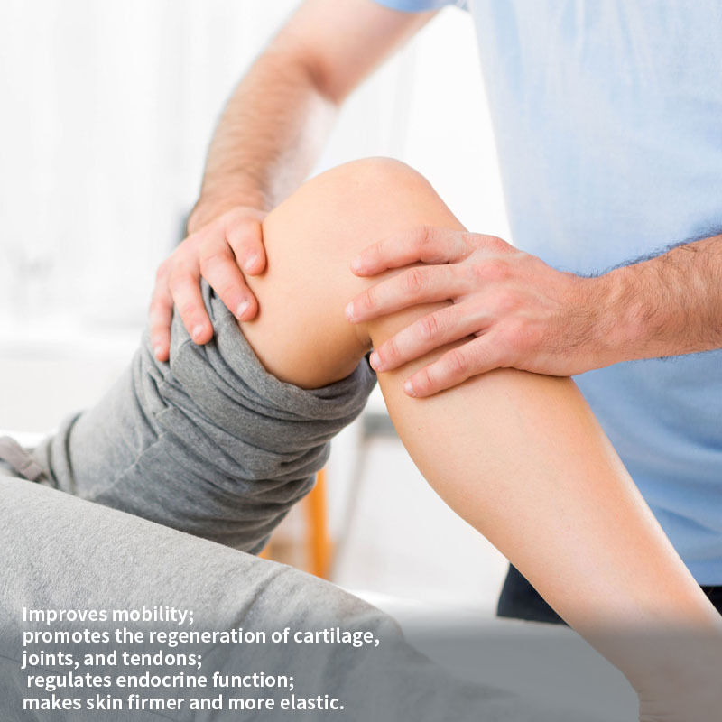 Customizable Flavor Food Grade Collagen Peptide Powder for Joint Comfort Support