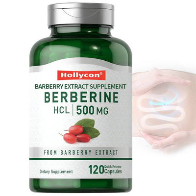 Barberry καψών 500mg Berberine FDA καρδιαγγειακό βοτανικό HCL Berberine συμπληρωμάτων εκχυλισμάτων
