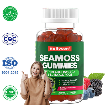 Αϊρλανδική Θάλασσας Μοσχάρια 1000mg Bladderwrack Θάλασσας Μοσχάρια για υποστήριξη της πέψης