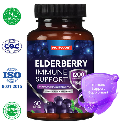 Φαρμακευτικό Sambucus Black Elderberry Κάψουλες Συμπλήρωμα ανοσοποιητικής υποστήριξης Αντιοξειδωτικό