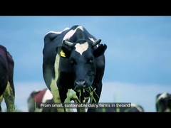 πρωτεΐνη ορρού γάλακτος