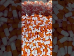 Μανιτάρια Superfood Ημερήσια κάψουλες Boost